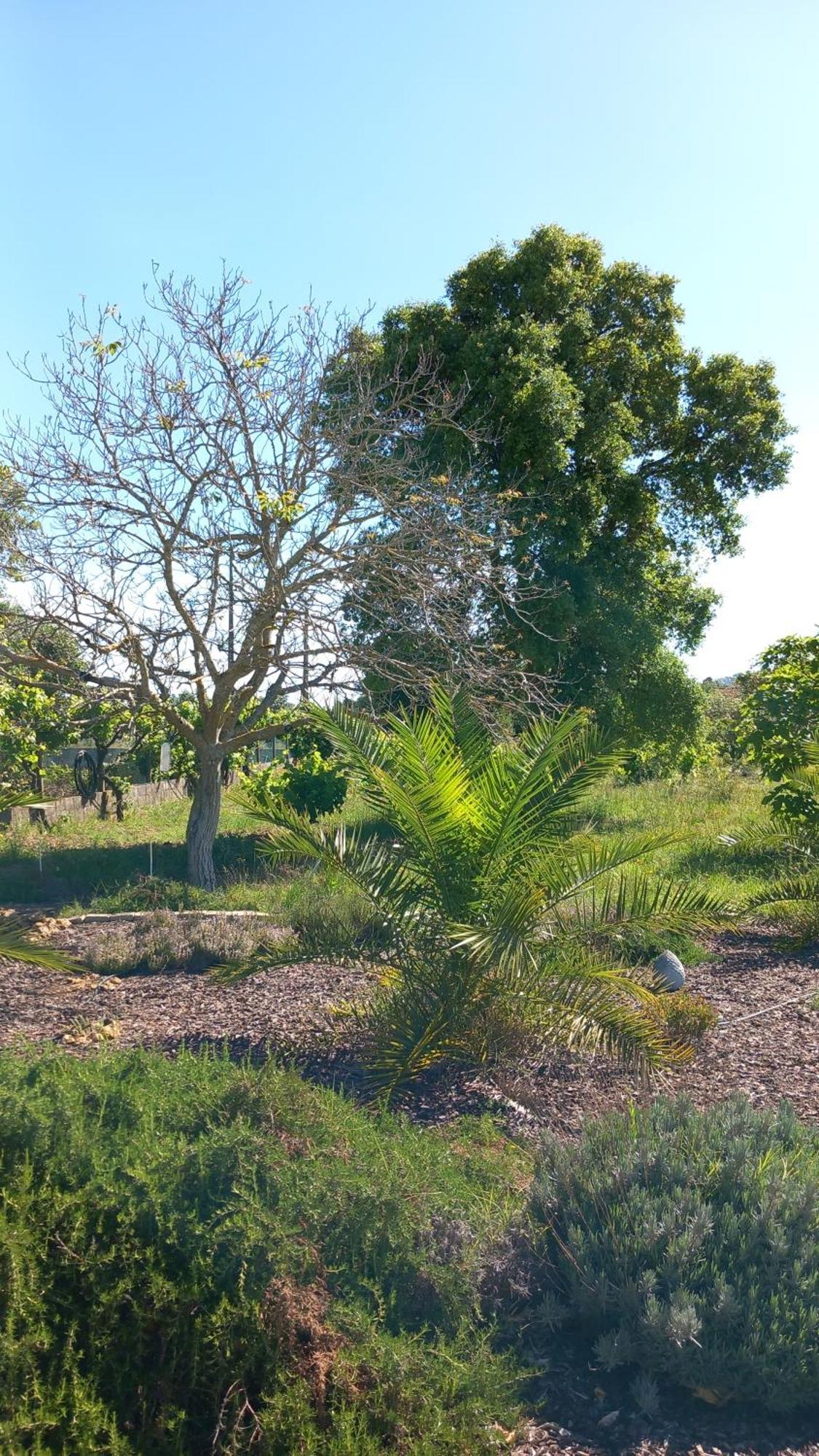Quinta Laranjal Da Arrabida Panzió Palmela Kültér fotó
